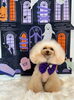 ぱにちゃん「Happy Halloween 2026🎃」