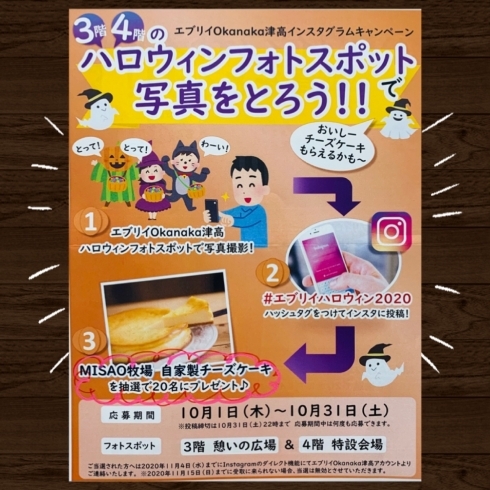 インスタ投稿してチーズケーキを貰おうっ みさお牧場直営店 ミルク工房ジェラテリアmisao本店のニュース まいぷれ 岡山市中区 南区 インスタ投稿してチーズケーキを貰おうっ みさお牧場直営店 ミルク工房ジェラテリアmisao本店のニュース まいぷれ 岡山市中区 南区