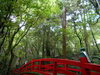 「西条市『西山興隆寺』は、本日6月1日より参拝が可能になっております。」