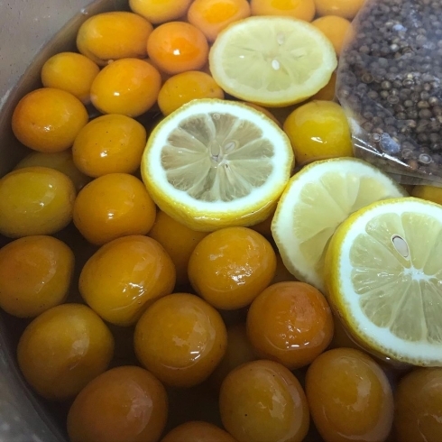 「【1月の季節のパフェ】柑橘とキャラメルバニラのパフェ」
