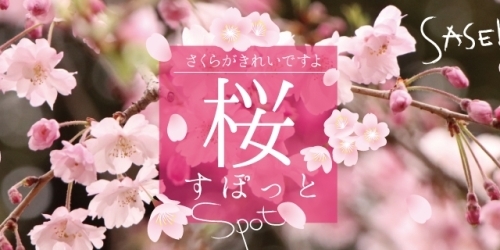 佐世保市 佐々町 波佐見町 川棚町の花見スポット 佐世保市 佐々町 波佐見町 川棚町の花見スポット まいぷれ 佐世保 佐世保市 佐々町 波佐見町 川棚町の花見スポット 佐世保市 佐々町 波佐見町 川棚町の花見スポット まいぷれ 佐世保