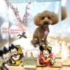 トイプードルカット「🐶ダックス、トイプードル、トリミングのお友達🌸」