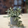 おすすめアーティフィシャルグリーン🌿