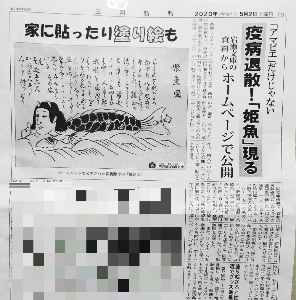 姫魚様 少し居ます 姫魚様 少し居ます