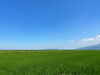 「あ～西条の好きな風景　」