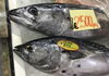 「魚魚市場鮮魚コーナーおすすめは「あアマダイ」です♪」