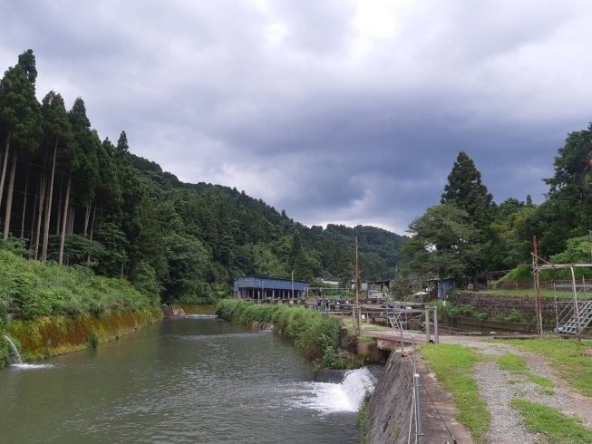 夏休みの楽しい思い出に 釣り体験はいかかですか 須川フィッシングパークのニュース まいぷれ 御殿場市 裾野市 小山町 夏休みの楽しい思い出に 釣り体験はいかかですか 須川フィッシングパークのニュース まいぷれ 御殿場市 裾野市 小山町