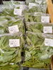 食卓を彩る、とれたての緑黄色野菜！「カラフルトマト＆夏野菜がずらり♪新居浜産の旬を楽しみませんか？」