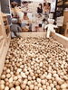 ひのきのプール🥚「落ち着いた大人カラーMOKU🍵」