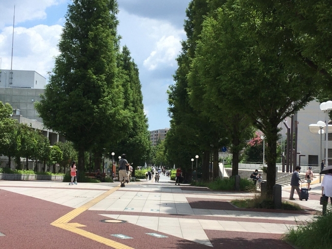 「ようやく夏の太陽が！」