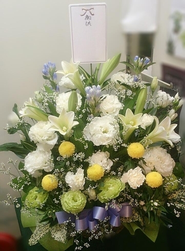 05 30 枚方市楠葉朝日 おくだ花舗 のご紹介 まいぷれ枚方 編集部のニュース まいぷれ 枚方市 05 30 枚方市楠葉朝日 おくだ花舗 のご紹介 まいぷれ枚方 編集部のニュース まいぷれ 枚方市