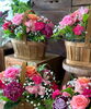 「送別会用のフラワーアレンジメント🧺💐【越前市/花屋/生花/フラワーアレンジメント/ふるーれ・T】」