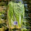 「今年も出荷が始まりました！ でも…岩手県でこの野菜を知ってる人は少ないです…。 秋田県産　「ふくたち」﻿」