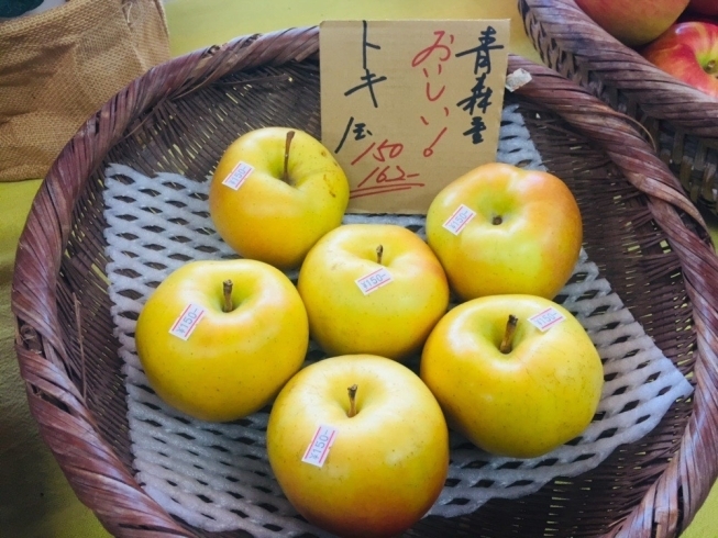 トキ「青森県産のりんごが勢ぞろい！【野菜・果物は清武の黒木商店で♪】」