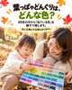 48の色から色さがし！小さな違いに気づける観察力や他にどんな色が入っているか好奇心がどんどん芽生える「江戸川区の赤ちゃんイベント｜10/23 秋の色探し＆親子撮影・フォトフレームづくり｜カフェランチ＆ドリンク付き」