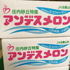 「山形県産「メロン」の入荷が始まりましたよ～。 山形県産「アンデスメロン」」