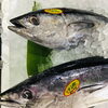 「魚魚市場鮮魚コーナーおすすめ商品は「カレイ・マテ貝・あおさ」です♪」