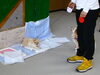 帰らない！と駄々をこねるモナちゃん「今日のお友達」