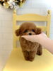 「お迎え🐶」