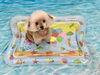 アンちゃん「波とわんこ🌊」