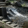 北区の水遊びができる公園特集！Part2