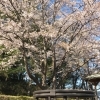【滝沢市】滝沢総合公園