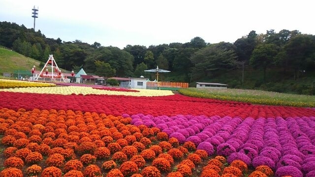 ドイツ 村 東京 大人が楽しむ雨の日の「東京ドイツ村」の遊び方