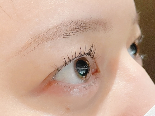 アイリッドアップパーマは継続でまぶたもまつ毛も上がるのが定着します 港北区妙蓮寺徒歩1分 マツエク まつ毛パーマサロン バタフライ ラッシュ マツエク まつ毛カールサロン バタフライ ラッシュのニュース まいぷれ 横浜市港北区 アイリッドアップパーマは継続でまぶたもまつ毛も上がるのが定着します 港北区妙蓮寺徒歩1分 マツエク まつ毛パーマサロン バタフライ ラッシュ マツエク まつ毛カールサロン バタフライ ラッシュのニュース まいぷれ 横浜市港北区