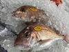 「魚魚市場鮮魚コーナーおすすめは「カツオ」です♪」