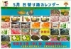 ５月の日替わり湯カレンダー「入浴券がもらえるチャンス!! 「サッカーW杯予想クイズ」⚽　枚方市にあるワンランク上のスパリゾート・スーパー銭湯」