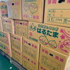 「まだまだ寒い日が続いていますが、 「春」を感じさせる野菜が入荷しています～ 静岡県産「新たまねぎ　(はるたま)」」
