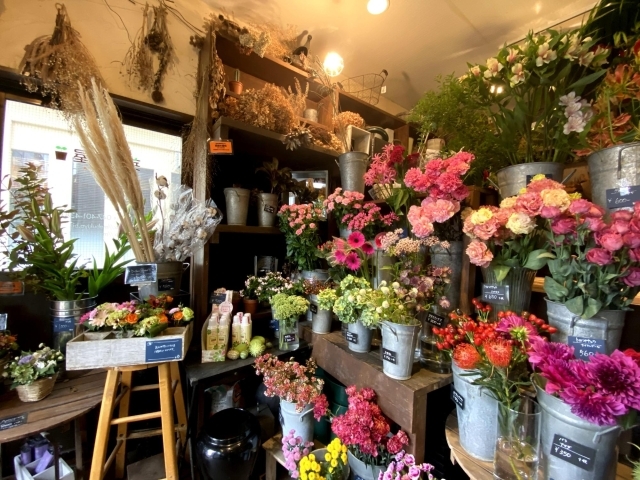 船橋市 まいぷれ