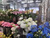 色彩豊かな花々が癒やしを届ける「愛妻の日・ホワイトデーにサプライズ花束を。季節のおまかせアレンジはいかがですか。」