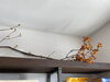 薬棚１「ステキな花のれんがお出迎えします！」