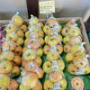 「赤肉系りんご『ムーンルージュ』入荷しました！道の駅木曽福島」