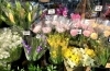 「お正月のお花少しずつ入ってます♪」