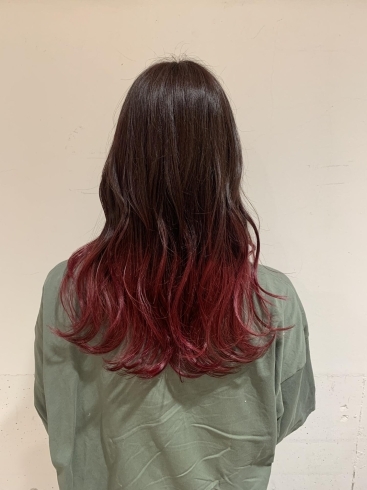 グラデーションカラー伊丹の美容室 Dot Hairのニュース いたみん 伊丹市 グラデーションカラー伊丹の美容室 Dot Hairのニュース いたみん 伊丹市