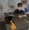 「片手でジュースとたこ焼が食べられる器付の「コンビ」が大人気！　フォレオ店」