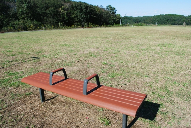 ベンチに座ってのんびりと♪「水戸市『常磐の杜』内にある公園をご紹介！」