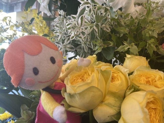 「【花と雑貨 midoriya plus】でお得な「まいポ」キャンペーンが始まりました！」