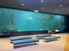 メイン水槽「夏のお出かけスポット/博物館だけど水族館な施設/生き物のプロ/アクアリウムのアクアデザインブルース/」