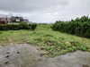 広い敷地の草取りは気がめいります「第三報！！家周り防草対策」