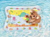 まろんちゃん「波とわんこ🌊」