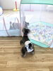 シースルーかくれんぼ中〜　笑「ましゅまろ幼稚園　^ - ^」