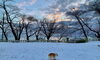 「12/3 Good morning Otaru!」