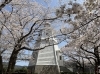 境台場公園