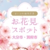 大量の桜が咲き誇る！　お花見するならココでしょ♪スポット【大分市・別府市】