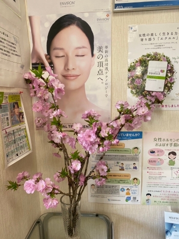 待合室の素敵な桜🌸💗「お花見🌸」