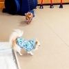 マールちゃん・リリィちゃん「今日のお友達」