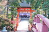 丹生都比売神社の絶景撮影ポイント！「年末年始におすすめ！和歌山スポット紹介【丹生都比売神社 本殿】」